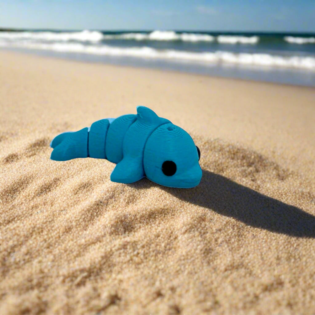 Baby Dolphin