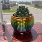 3D Printed Rainbow Shiny Planter With Drip Tray Pride